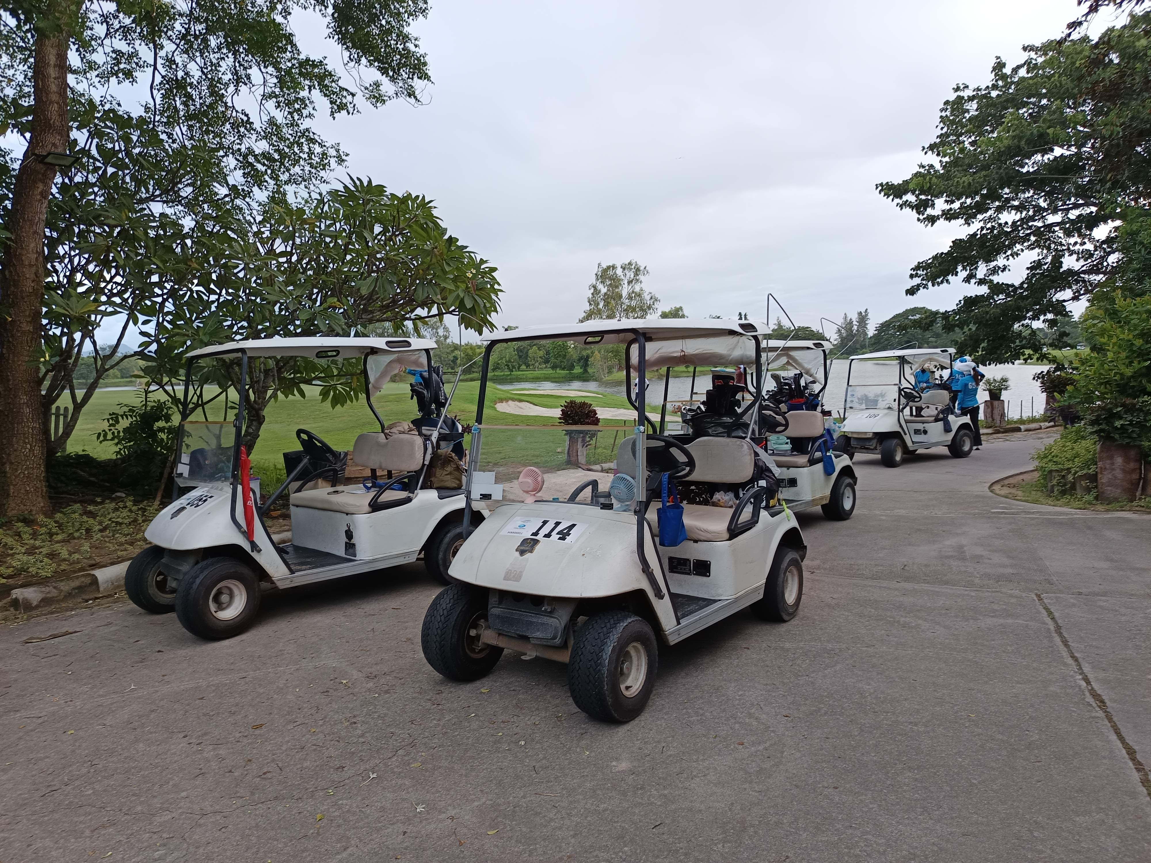 Golf Buggy Fleet